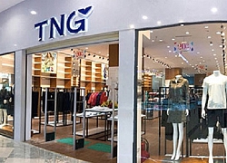 TNG tạm ứng cổ tức tiền mặt tỷ lệ 8% lần đầu tiên sau 6 năm