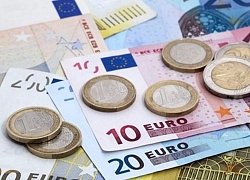 Chuyên gia tiền tệ quốc tế nhận định đồng euro sẽ tăng giá trong năm 2020