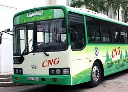 CNG Việt Nam ước lãi 107 tỷ đồng năm 2019, hoàn thành kế hoạch được giao