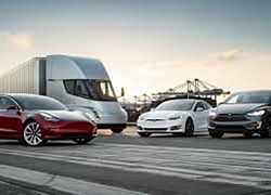 Giống như mẫu xe nào đó thiếu chắn bùn nhưng Tesla gây cười vì cung cấp trang bị này với tên gọi "Kit bảo vệ mọi thời tiết"