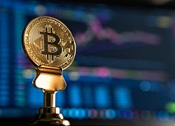 Bitcoin giảm sốt, thị trường chìm trong sắc đỏ