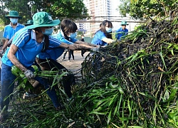 Cội nguồn sức mạnh từ dân