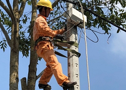 Đảm bảo cung ứng điện an toàn và ổn định trong dịp Tết Nguyên đán