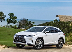 Doanh số xe Lexus tăng vượt bậc trong năm 2019