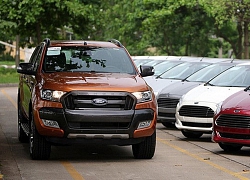 Ford Việt Nam cân nhắc lắp ráp Ranger trong nước