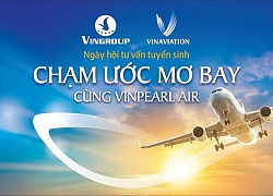 Hàng không Vinpearl Air không thể cất cánh vì Vingroup muốn tập trung cho công nghệ