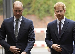 Hoàng tử Harry và William ra thông cáo, phủ nhận tin đồn mâu thuẫn