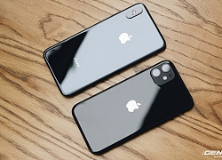 iPhone 11 và iPhone Xs Max: Chọn mua iPhone nào chơi Tết?