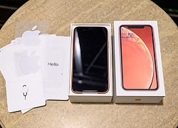 iPhone X, XR ngừng bán ở Việt Nam