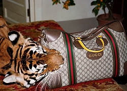 Nhiều lần Gucci gây chú ý với quảng cáo chẳng giống ai nhưng lại tạo sóng