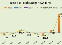 Phiên 13/1: Giải ngân mạnh vào HPG và E1VFVN30, khối ngoại tiếp tục bơm ròng 65 tỷ đồng