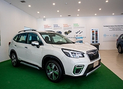 Subaru Forester 2020 tại Việt Nam có gì để đấu Honda CR-V?