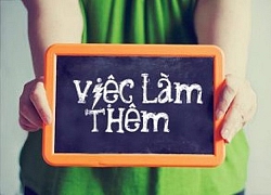 Thu nhập cao, sinh viên chọn ở lại thành phố làm thêm dip Tết