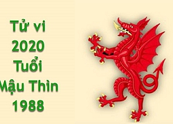 Tìm hiểu về tử vi tuổi 1988 Mậu Thìn trong năm 2020