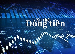 Xu thế dòng tiền: Lặp lại "Hiệu ứng tháng Giêng"?