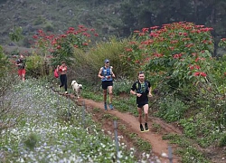 Chạy theo đoàn marathon suốt 42km, chó chú bản ở Mộc Châu giành luôn chức vô địch nhưng chủ phải đích thân đón về