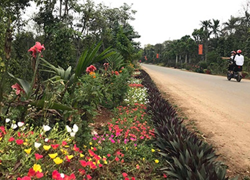 Hàng rào "đẻ" ra tiền ở vùng đất khó Cam Chính