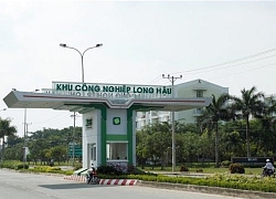 Long Hậu: Giá vốn tăng mạnh làm bay hơi lợi nhuận quý IV/2019