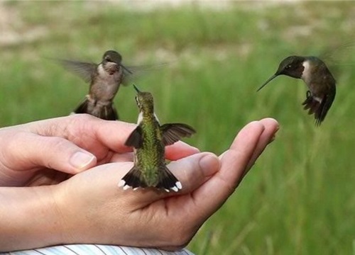 Nếu ai đang làm nghề này, hãy suy nghĩ lại kẻo mang họa vào thân