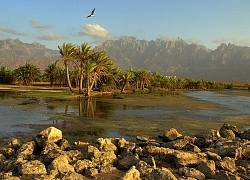 Những điều thú vị ít người biết về hòn đảo "ngoài hành tinh" Socotra