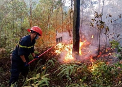 Tăng cường kiểm tra địa bàn trọng điểm phá rừng, cháy rừng