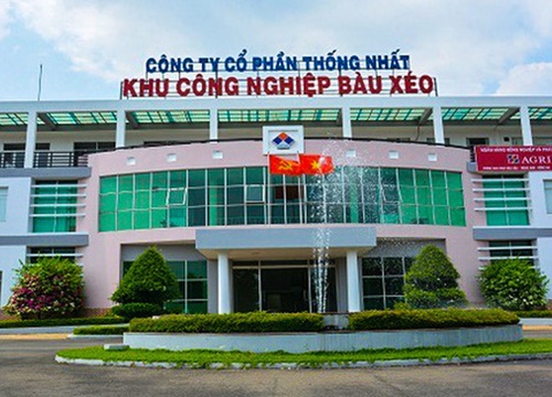 Thống Nhất (BAX) báo lãi năm 2019 cao gấp 4 lần, vượt 6% kế hoạch năm