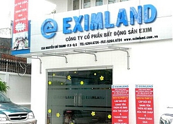 Tiếp đà năm trước, Eximland lại báo lỗ 12 tỷ đồng trong năm 2019