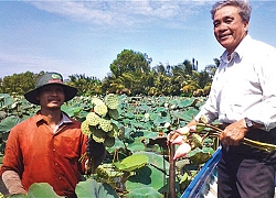 Về nơi &quot;trên cơm, dưới cá&quot;