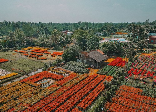 Đứng hình với loạt ảnh làng hoa Tết đẹp nhất miền Tây rực rỡ sắc màu từ trên cao, hoá ra lại nằm gần xịt Sài Gòn