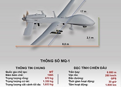 Infographic: Kinh hoàng sức mạnh "Đại bàng xám" của Mỹ