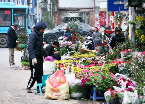 Nhộn nhịp phố hoa Hoàng Hoa Thám ngày cận Tết