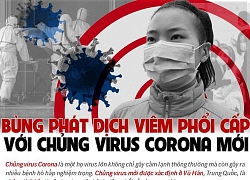 Infographic: Toàn cảnh dịch viêm phổi cấp do chủng virus corona mới