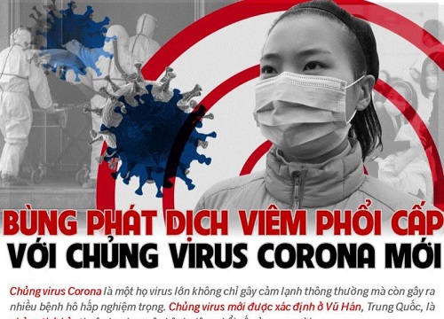 Infographic: Toàn cảnh dịch viêm phổi cấp do chủng virus corona mới