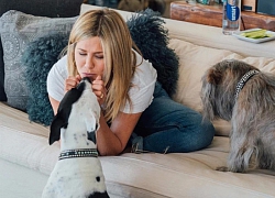 Bên trong biệt thự 21 triệu USD của Jennifer Aniston