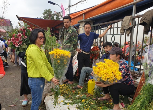 Chợ hoa Quảng An tấp nập những ngày cuối năm, đào, mai khoe sắc chào xuân mới