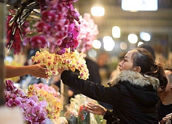 Chợ hoa Quảng Bá nhộn nhịp trong những đêm cuối năm