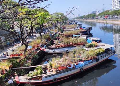 Chùm ảnh: Chợ hoa "trên bến, dưới thuyền" độc đáo và ấn tượng nhất Sài Gòn