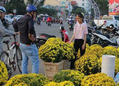 Đà Nẵng: Thương lái "dở khóc dở cười" vì khách đến chỉ để chụp hình