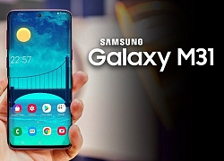 Galaxy M31 đạt chứng nhận WiFi, camera 48MP, chạy Android 10, mời các bạn vào xem giá 'ưng' không