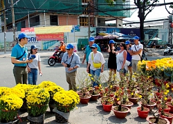 Nở rộ tour du lịch hành hương đất Phật, ngắm hoa xuân trong dịp Tết