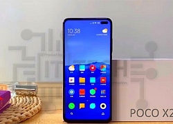 Poco X2 lộ hình ảnh thực tế và nhiều thông tin quan trọng