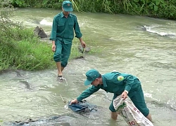 Thủ tướng phê duyệt Đề án tuyên truyền, tập huấn Luật Dân quân tự vệ