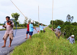 3 cách săn chuột đồng bách phát bách trúng ở miền Tây