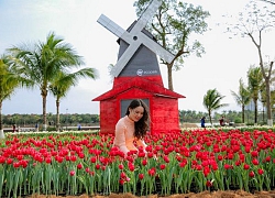 Hàng nghìn du khách ùn ùn đổ về chụp ảnh cùng hoa tulip tuyệt đẹp như trời Âu ở Hà Nội