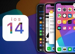 iOS 14 sẽ hỗ trợ tất cả các mẫu iPhone giống như iOS 13, có cả iPhone SE