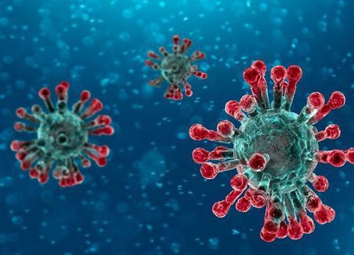 Không chỉ có dơi mới là nguồn gốc lây nhiễm coronavirus, ăn những loài động vật này cũng sẽ khiến nguy cơ lây nhiễm virus chết người tăng lên gấp bội