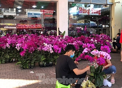 Lan chơi tết: Nơi bạc triệu, chỗ bán sỉ như rau