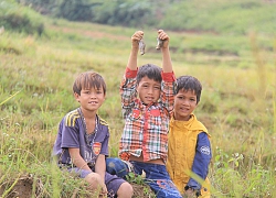 Ngày xuân lên Tây Nguyên thưởng thức món "chuột quý tộc" trên đỉnh núi Ngọc Linh