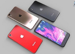 Săn đón chiếc iPhone 9 giá rẻ nhưng cấu hình ngang ngửa iPhone 11