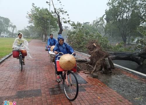 Biển Đông sắp có bão